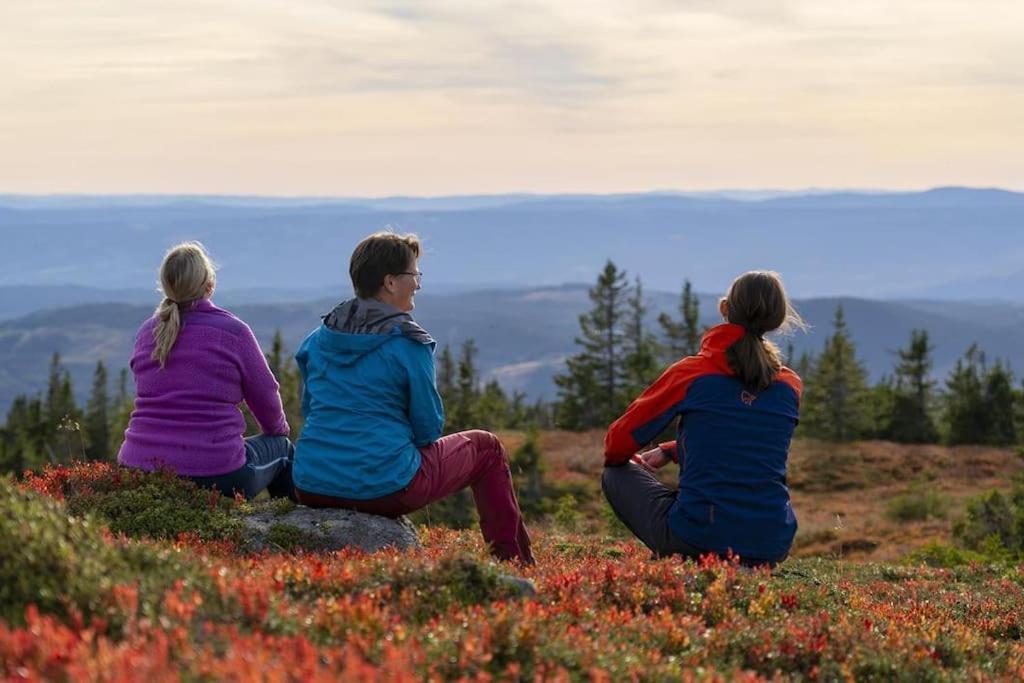 Beautiful Penthouse With Panoramic View At Sjusjoen Apartment Luaran gambar